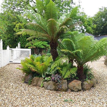 Bed and Breakfast Pleasant Streams Barn St Austell Exterior foto